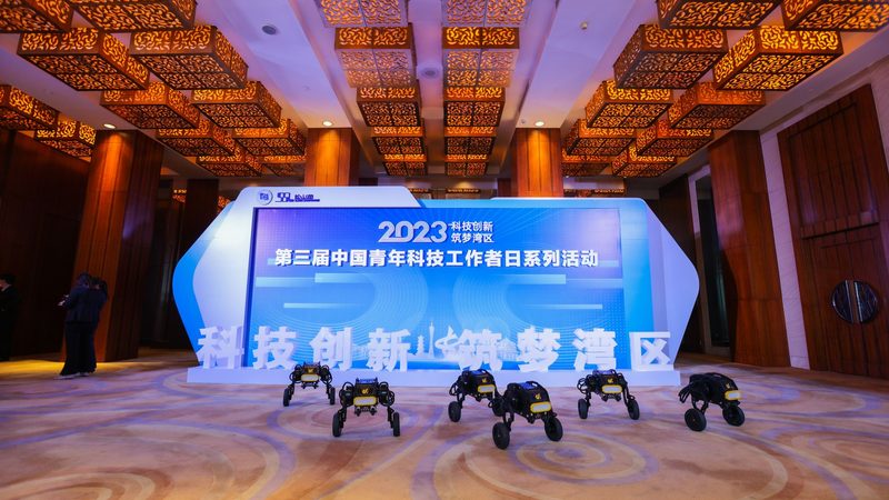 揭秘数据服务公司：十大品牌背后的实力与选择